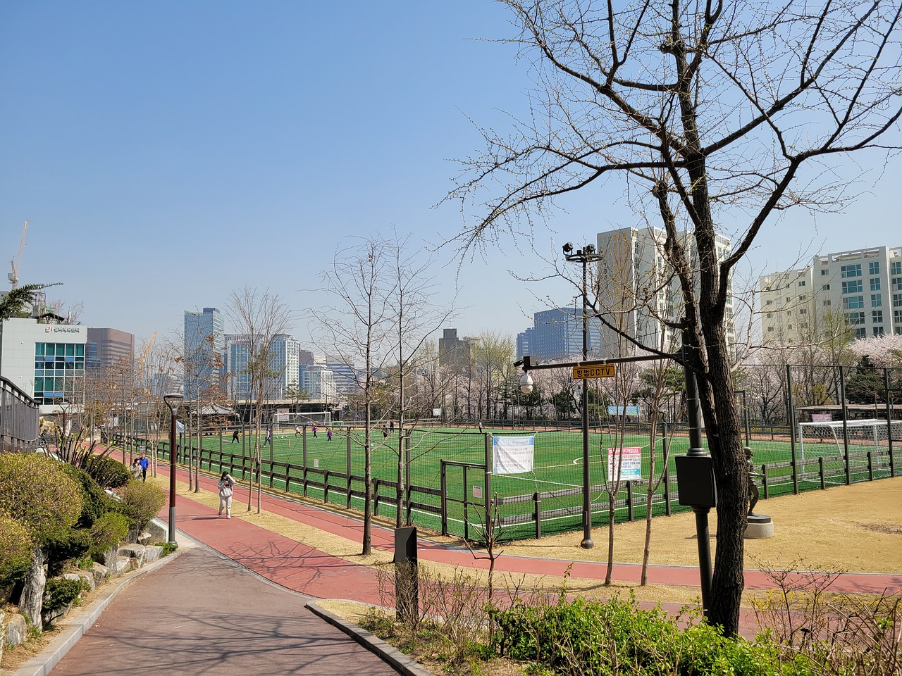 要根据场上